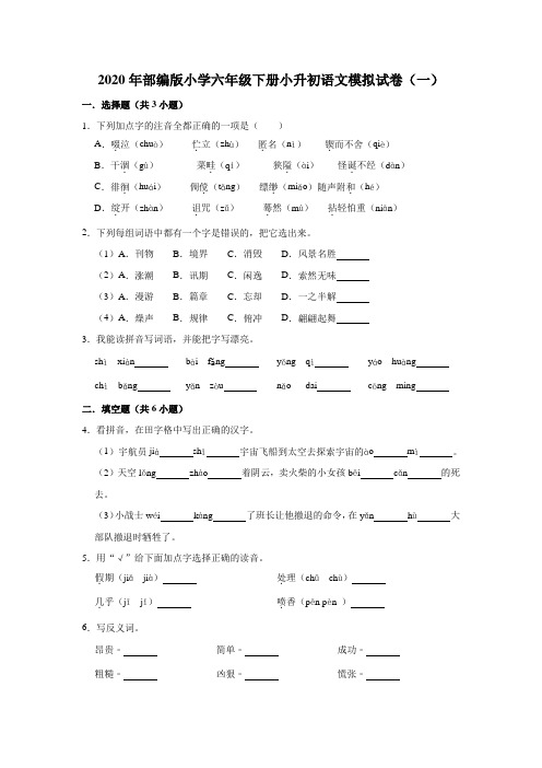 六年级语文下册试题   小升初语文模拟试卷(一)(解析版) 部编版