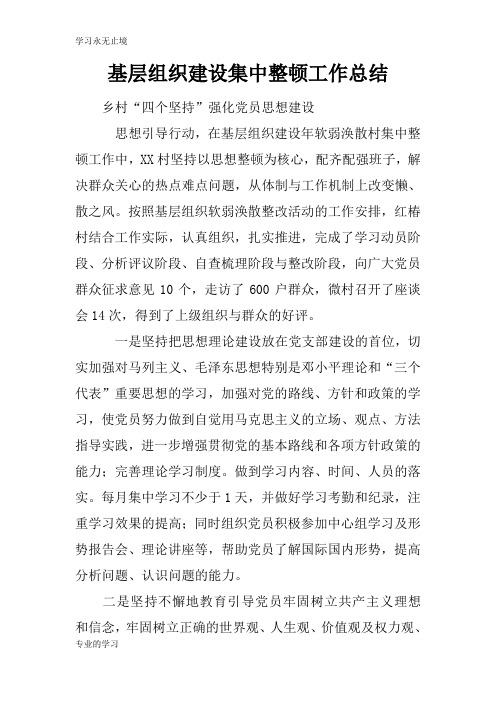 基层组织建设集中整顿工作检查及评价分析研究性工作总结