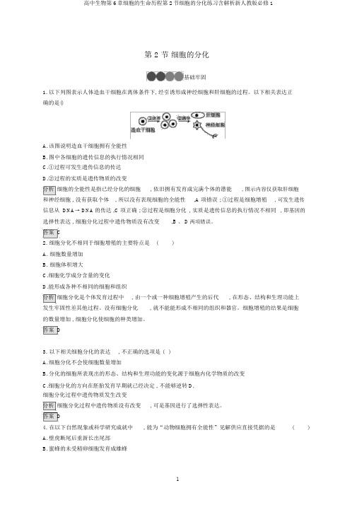 高中生物第6章细胞的生命历程第2节细胞的分化练习含解析新人教版必修1