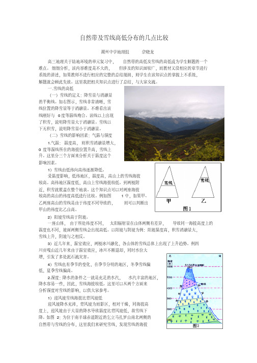 自然带及雪线高低的几点比较