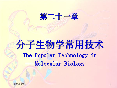 分子生物学常用技术