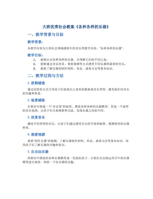 大班优秀社会教案《各种各样的乐器》