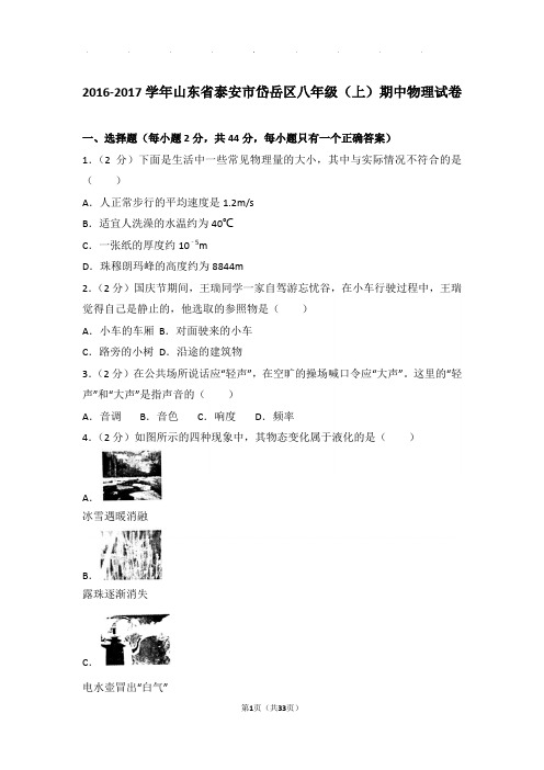 2017年山东省泰安市岱岳区八年级(上)物理期中试卷和解析答案