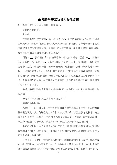 公司新年开工动员大会发言稿