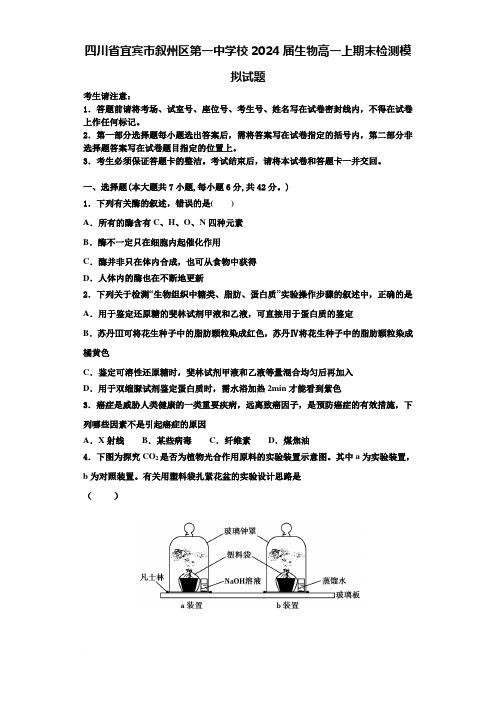 四川省宜宾市叙州区第一中学校2024届生物高一上期末检测模拟试题含解析