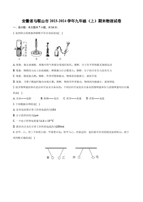 安徽省马鞍山市2023-2024学年九年级(上)期末物理试卷(含解析)