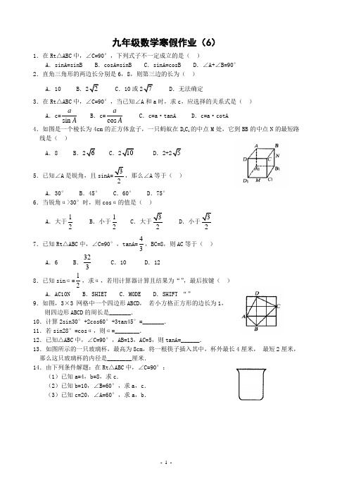 九年级数学寒假作业(6)