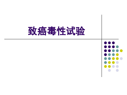 特殊毒性试验