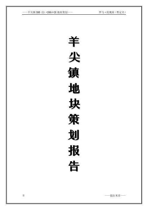 羊尖镇XGD(X)-2004-28地块策划