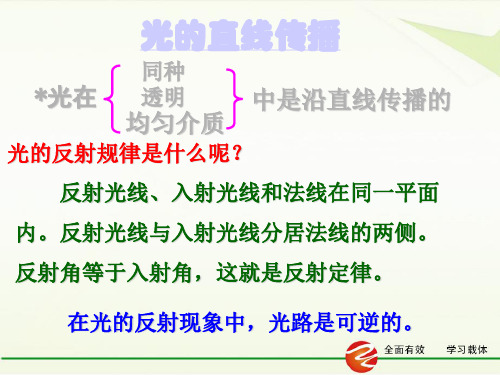 人教版物理八年级上册(新)4.4 光的折射 课件)