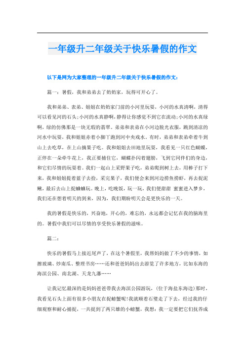 一年级升二年级关于快乐暑假的作文