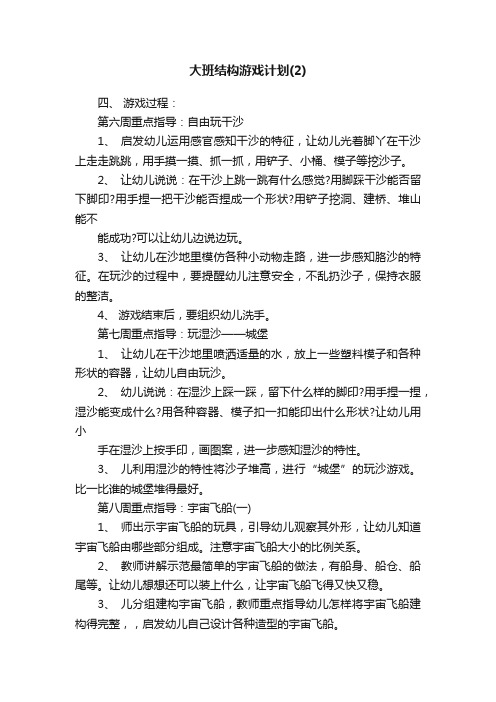 大班结构游戏计划（2）