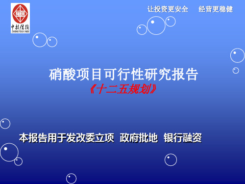 硝酸项目可行性研究报告