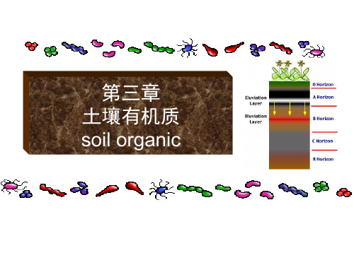 3 土壤有机质
