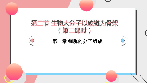 1.2生物大分子以碳链为骨架(第二课时)2023-2024学年高一上学期生物浙科版(2019)必修一