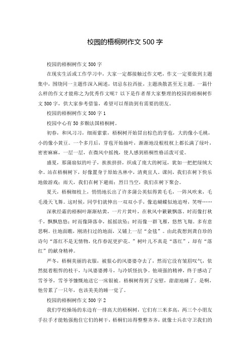 校园的梧桐树作文500字