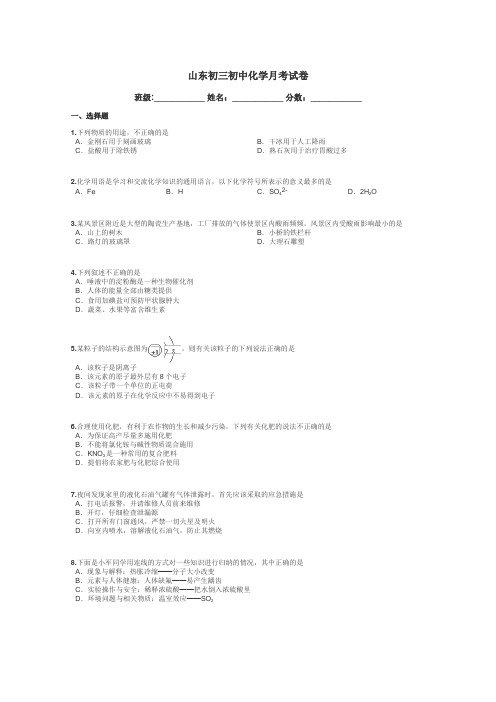 山东初三初中化学月考试卷带答案解析
