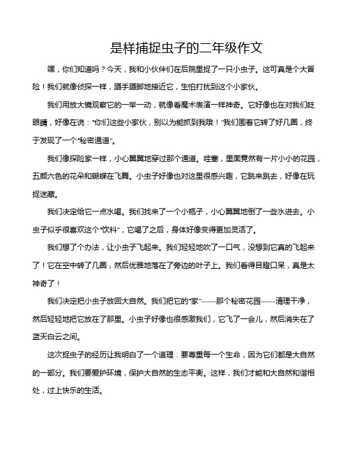 是样捕捉虫子的二年级作文