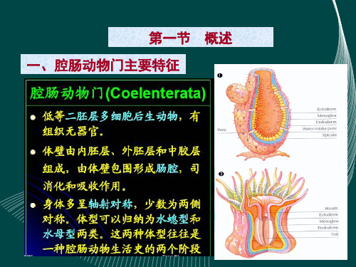 古生物学3