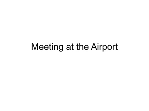 Meeting at the Airport