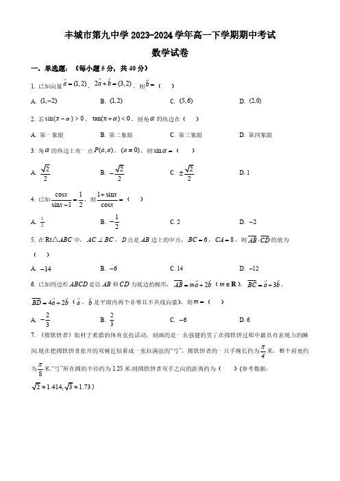 江西省宜春市丰城市第九中学2023-2024学年高一下学期期中考试数学试题(含答案)