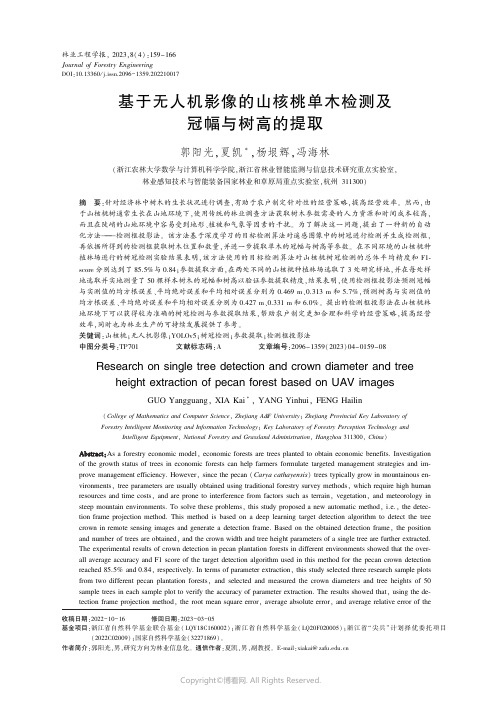 基于无人机影像的山核桃单木检测及冠幅与树高的提取