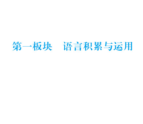 中考语文总复习课件:专题一字音、字形与书写(共55张PPT)