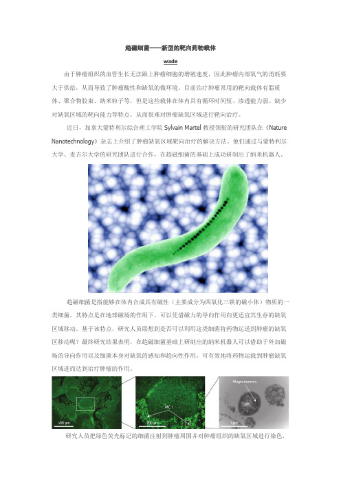 趋磁细菌——新型的靶向药物载体