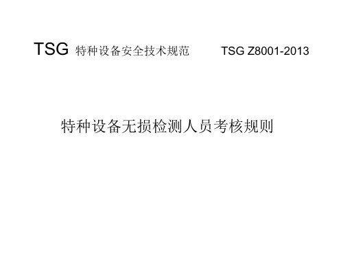 TSG特种设备安全技术规范TSG Z8001-2013