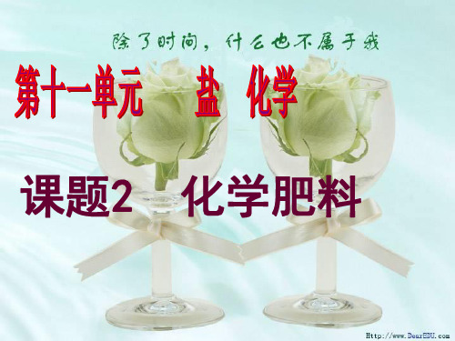 21第十一单元课题2化学肥料