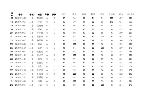 孙吴县2010小学毕业考试成绩