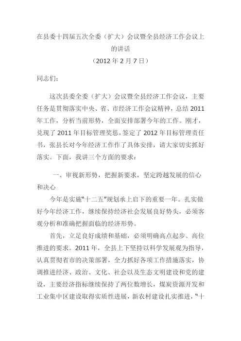 吴丽华在全县经济工作会的讲话