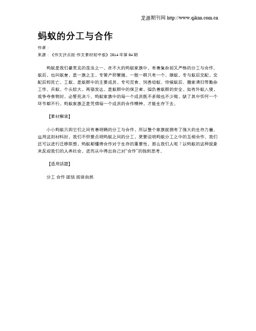 蚂蚁的分工与合作