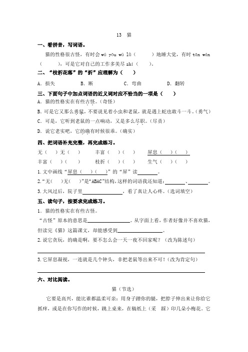 四年级下语文第13课《猫》课时练习-(含答案)人教部编版
