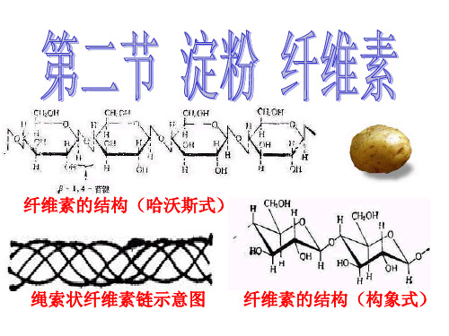 纤维素的结构(构象式)