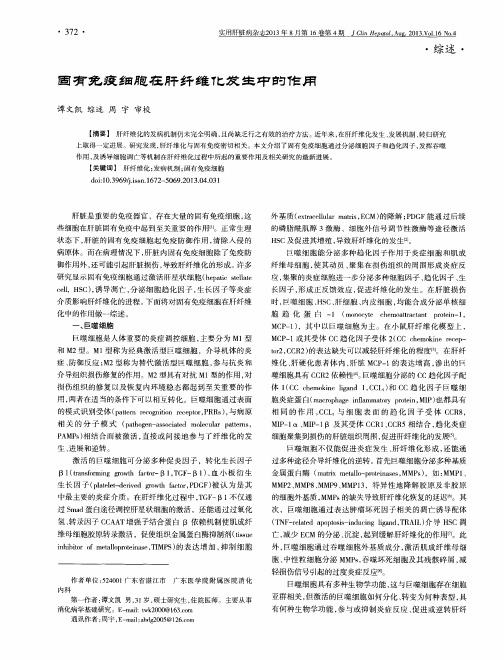 固有免疫细胞在肝纤维化发生中的作用