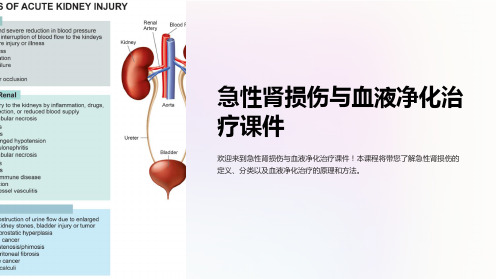 急性肾损伤与血液净化治疗课件