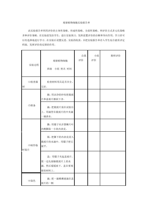 观察植物细胞实验报告单