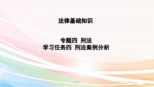 刑法——刑法案例分析  ppt课件