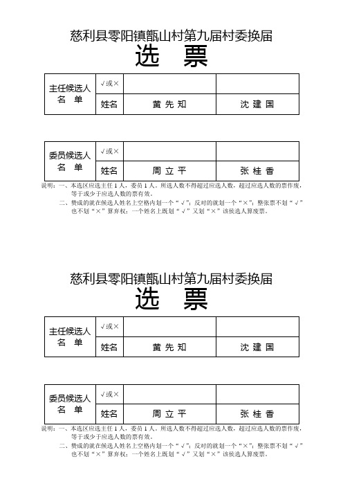 换届选票