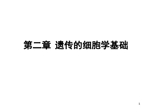 遗传的细胞学基础学