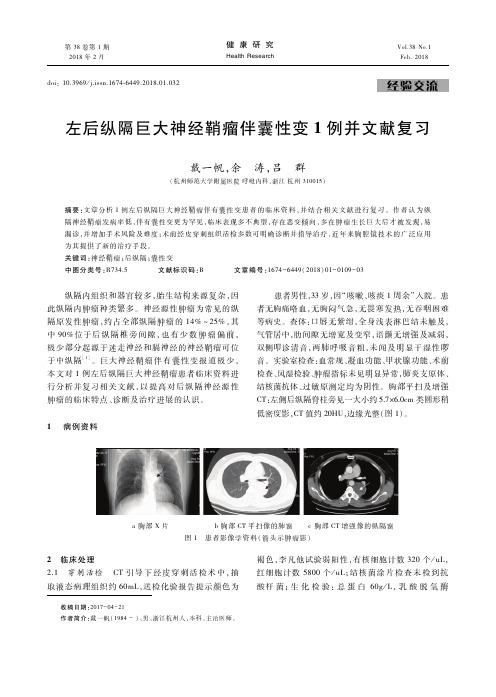 左后纵隔巨大神经鞘瘤伴囊性变1例并文献复习