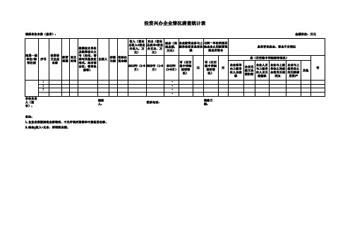 投资兴办企业情况清查统计表