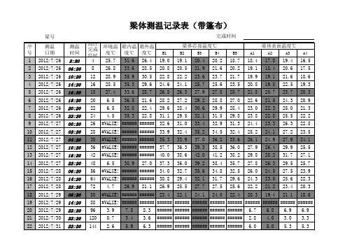 梁体测温记录新 (最新)