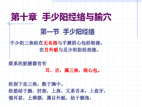 最新10三焦经人体经络穴位图谱教学讲义PPT课件