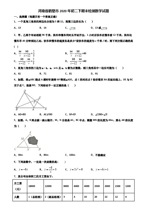 河南省鹤壁市2020年初二下期末检测数学试题含解析