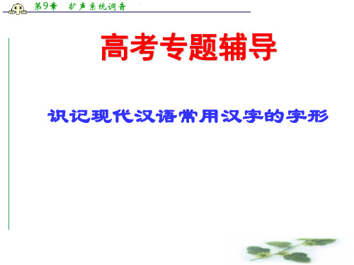 江西省井冈山中学高考语文复习课件：《识记现代汉语常用汉字的字形》