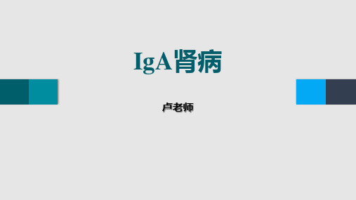 IgA肾病(中西医结合内科学)