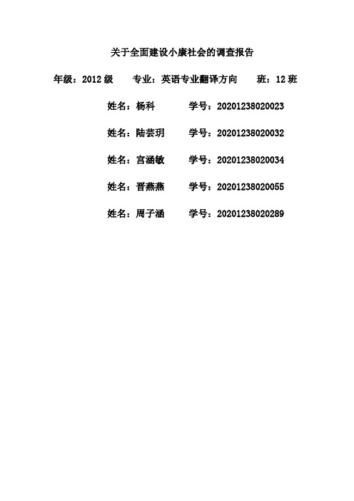 小康社会调查报告