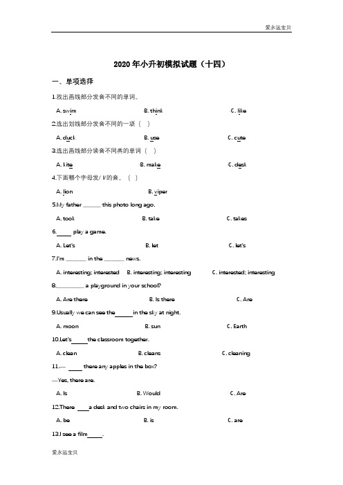 2020年小升初英语模拟试题(十四)(译林版含答案)